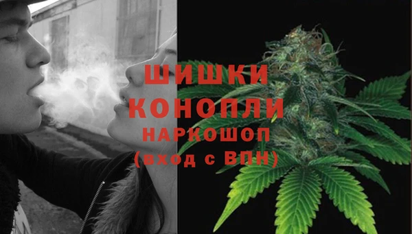 индика Абдулино
