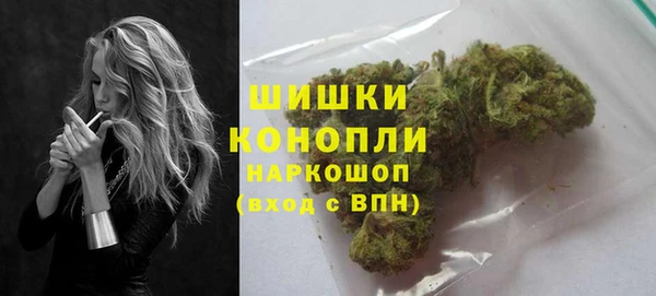 индика Абдулино