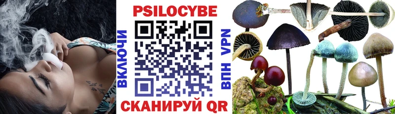 цены наркотик  Альметьевск  Галлюциногенные грибы GOLDEN TEACHER 