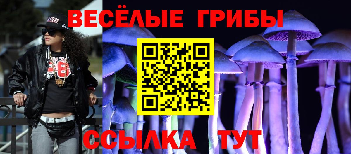 Псилоцибиновые грибы ЛСД Альметьевск