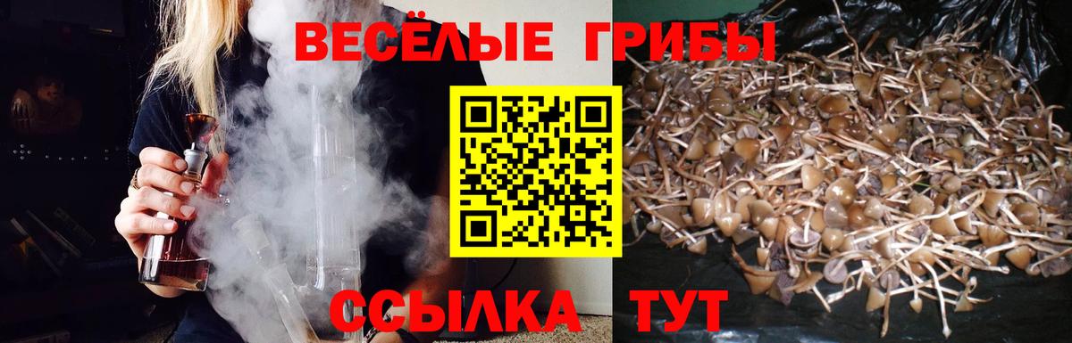 Галлюциногенные грибы ЛСД  Вход с VPN  Псилоцибиновые грибы MAGIC MUSHROOMS  Альметьевск 